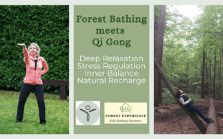 Forest Bathing meets Qi Gong-3 Banner 2 (1)