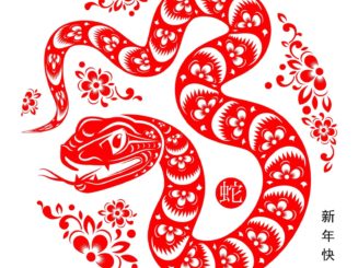 Nouvelle année du Serpent de Bois