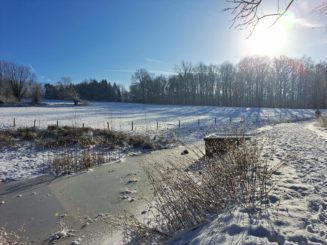 La lumière éclatante de la neige en hiver