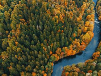 Quel impact la nature a-t-elle sur notre énergie?